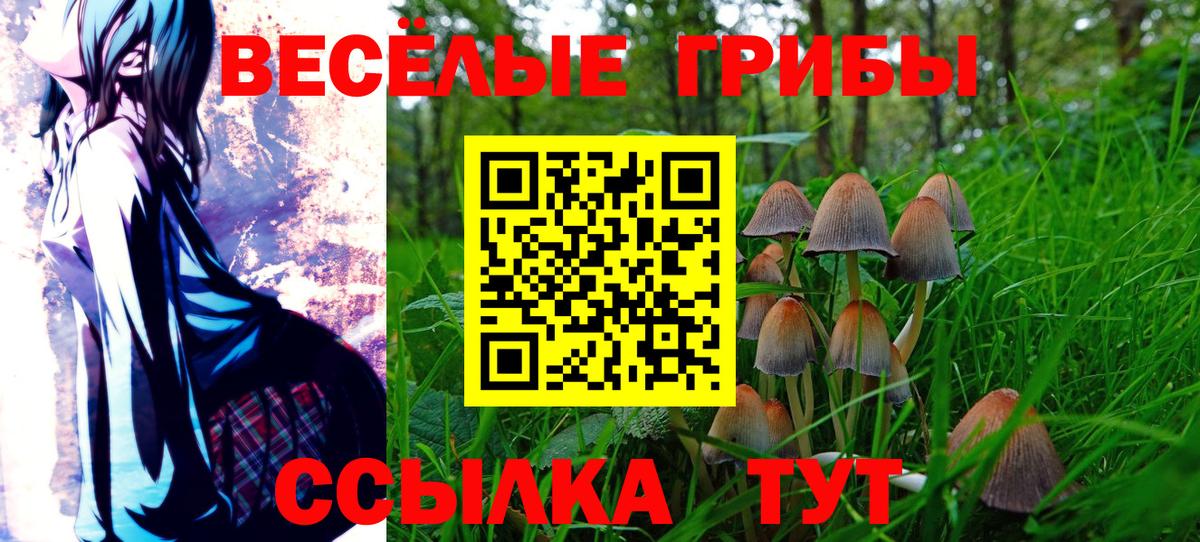 Галлюциногенные грибы мицелий  Галлюциногенные грибы мицелий  Лениногорск  Вход с VPN 