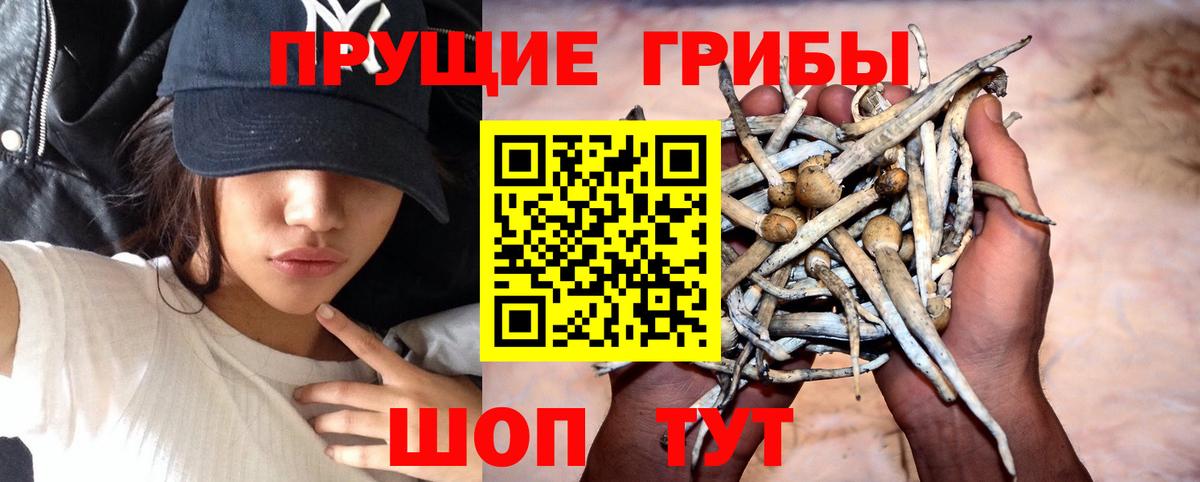 Псилоцибиновые грибы мухоморы Лениногорск